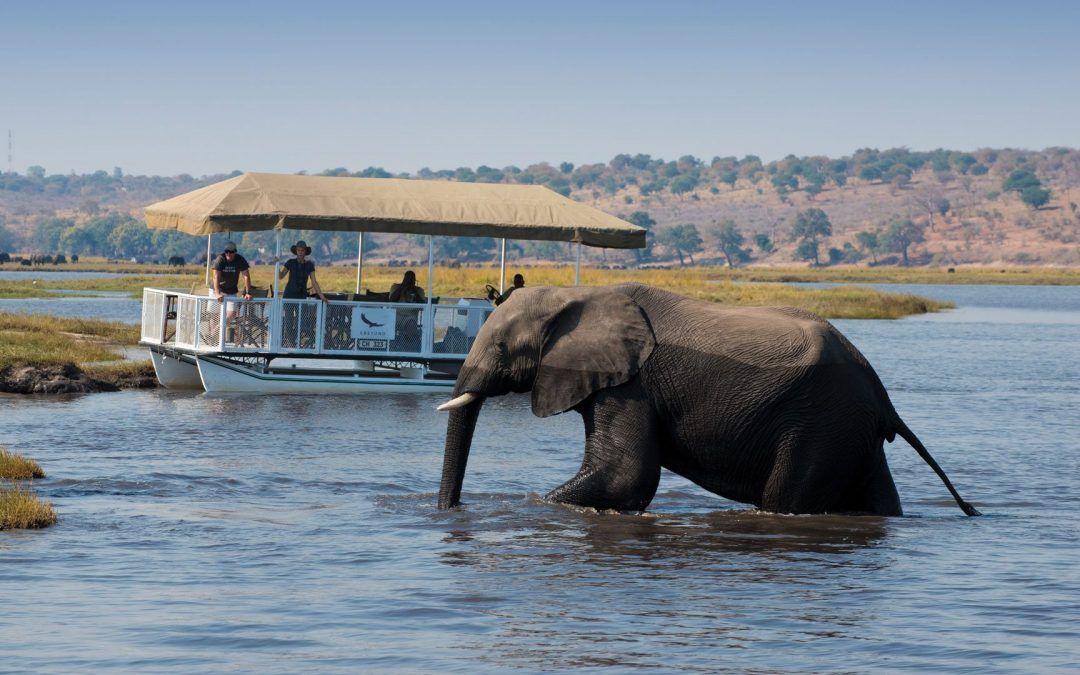 Chobe National Park