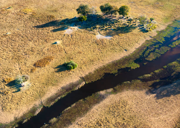 Okavango Delta