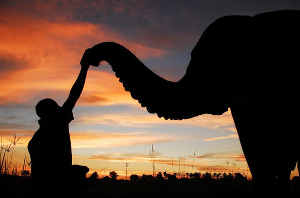 Sustainable Tourism