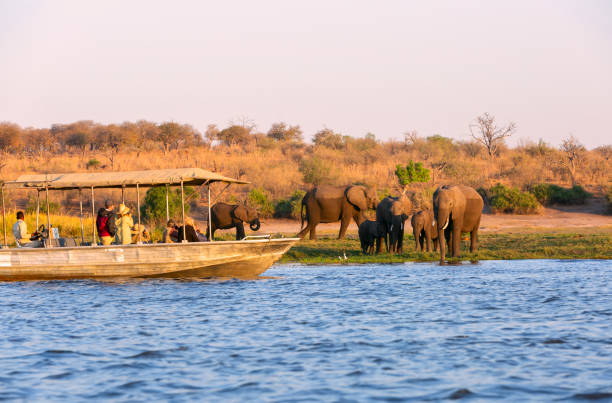 Tourism